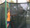 16 Feet Octagon Trampoline with Enclosure